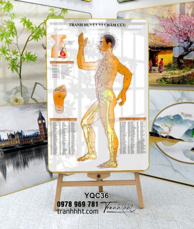 Tranh Y Khoa YQC36