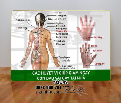 Tranh Y Khoa YQC49