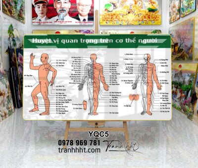 Tranh Y Khoa YQC5