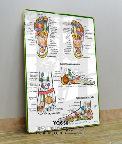 Tranh Y Khoa YQC50