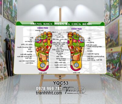 Tranh Y Khoa YQC53