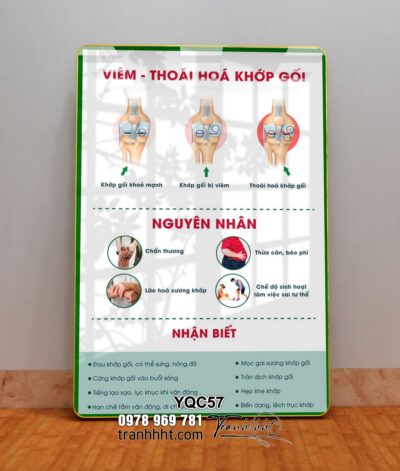 Tranh Y Khoa YQC57