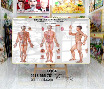 Tranh Y Khoa YQC6