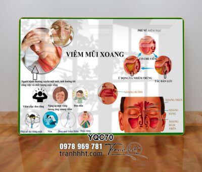 Tranh Y Khoa YQC70