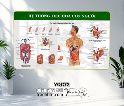 Tranh Y Khoa YQC72