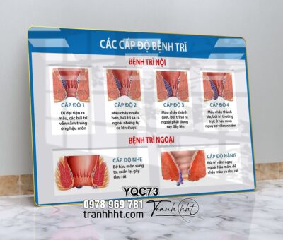 Tranh Y Khoa YQC73