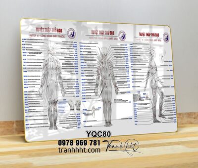 Tranh Y Khoa YQC80