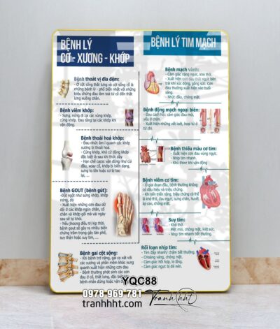Tranh Y Khoa YQC88
