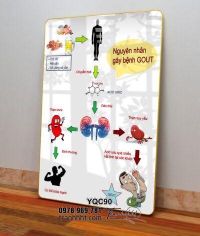 Tranh Y Khoa YQC90