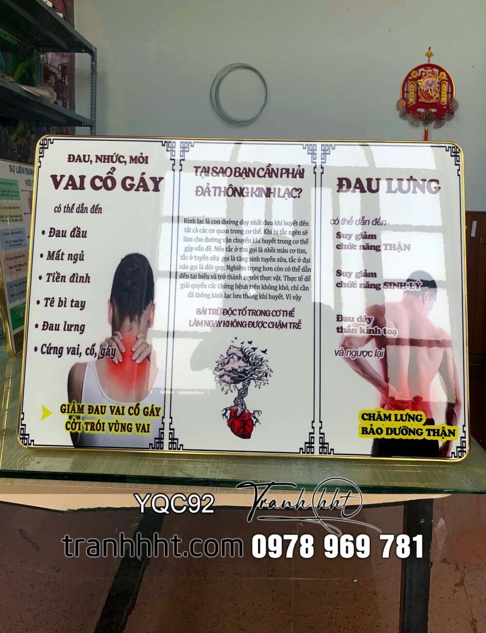 Tranh cổ vai gáy, tranh y khoa trị liệu, Tranh Y khoa đau cổ vai gáy đau lưng tráng gương treo tường YQC92