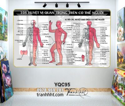 Tranh Y Khoa YQC95