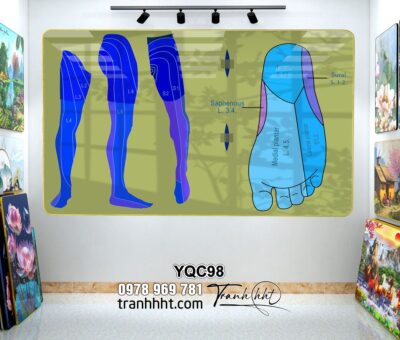 Tranh Y Khoa YQC98