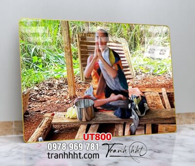 Tranh treo tường UT800