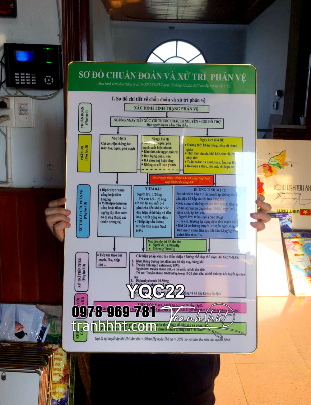 Tranh phòng khám y khoa y tế, Tranh Y khoa sơ đồ chuẩn đoán và xử lí phản vệ tráng gương treo tường YQC22