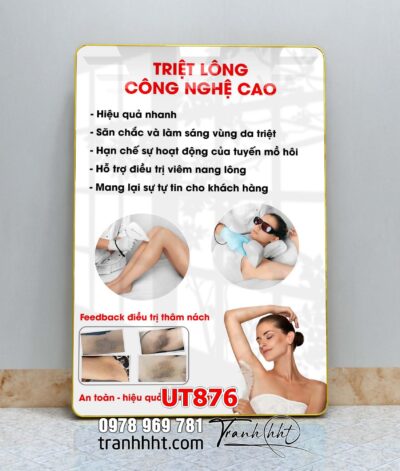 Tranh treo tường UT876