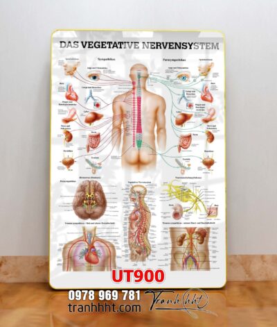 Tranh treo tường UT900