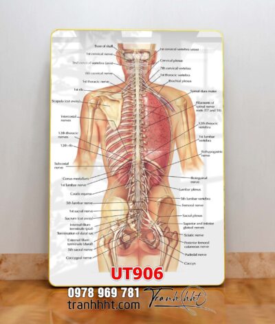 Tranh treo tường UT906