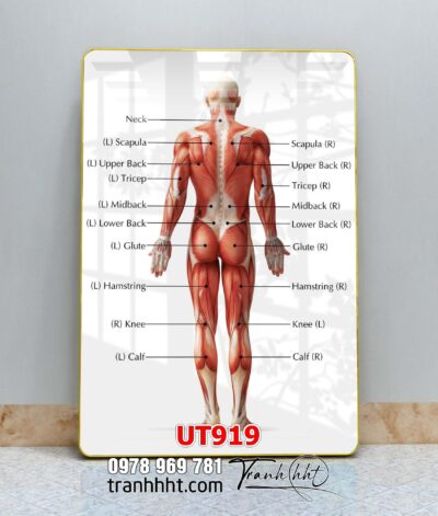 Tranh treo tường UT919